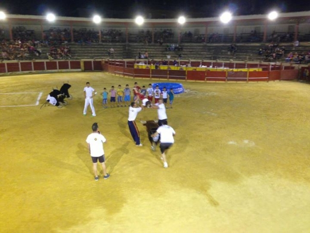  Capeas in Teruel organisieren 